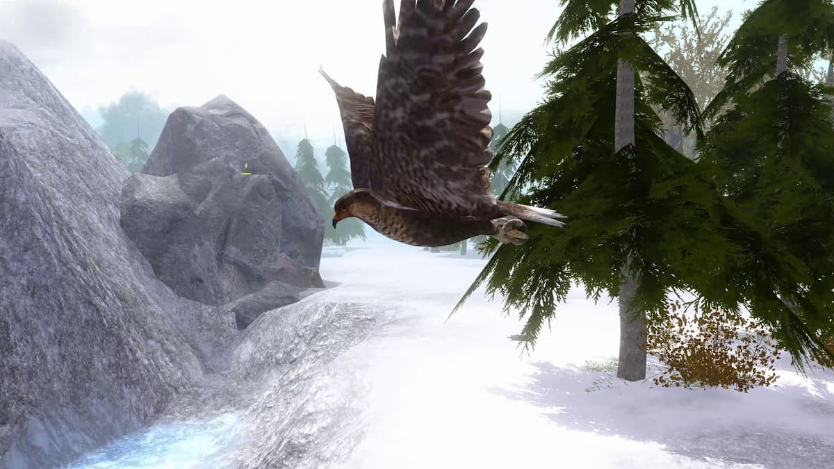 ForestSim third-party video thumbnail