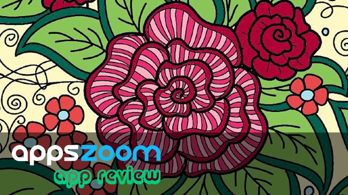 Colorfy third-party video thumbnail
