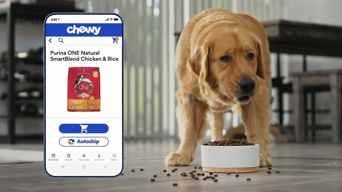 Chewy: Pet Shopping & Delivery third-party video thumbnail
