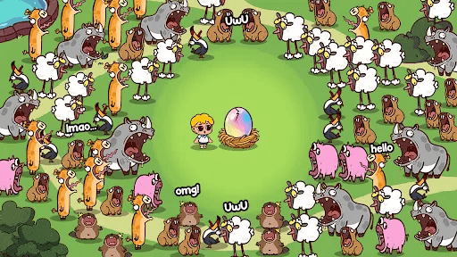 Animal Echo Fun cover image
