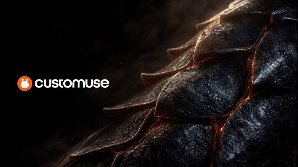 Customuse cover image
