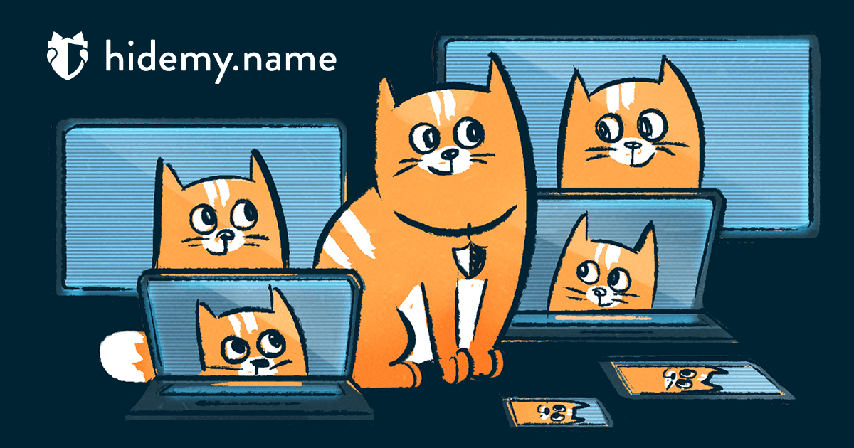 hidemy.name VPN cover image