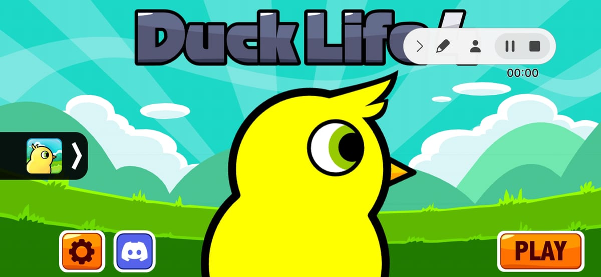 Duck Life 4 cover image