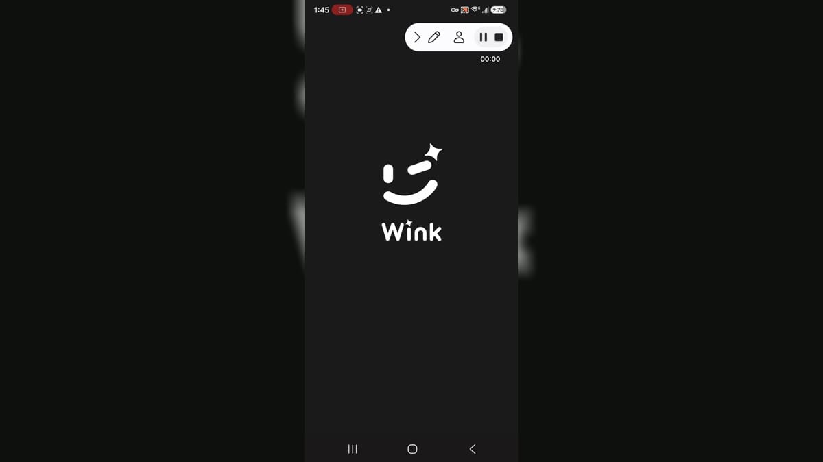 Wink cover image