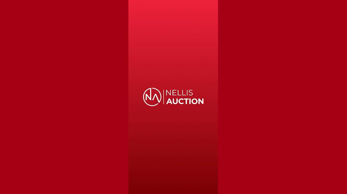 Nellis Auction cover image