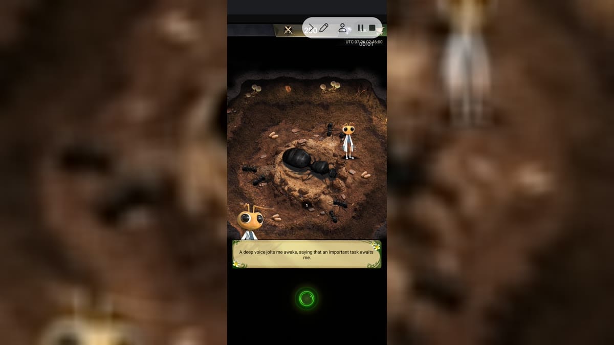 The Ants cover image