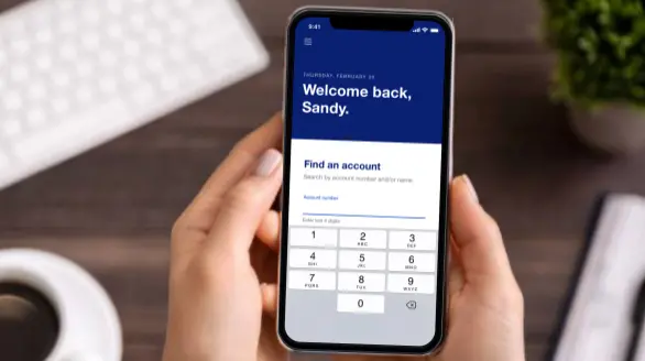 Access Online cover image