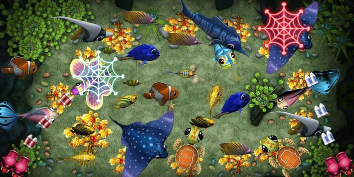 Angelfish cover image